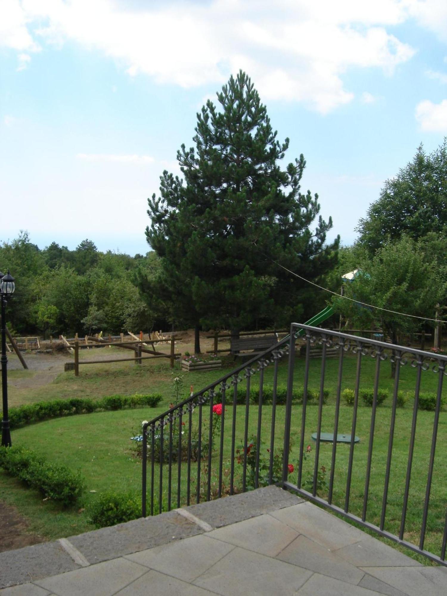 Ai Vecchi Crateri Guest House Sant'Alfio Exterior photo